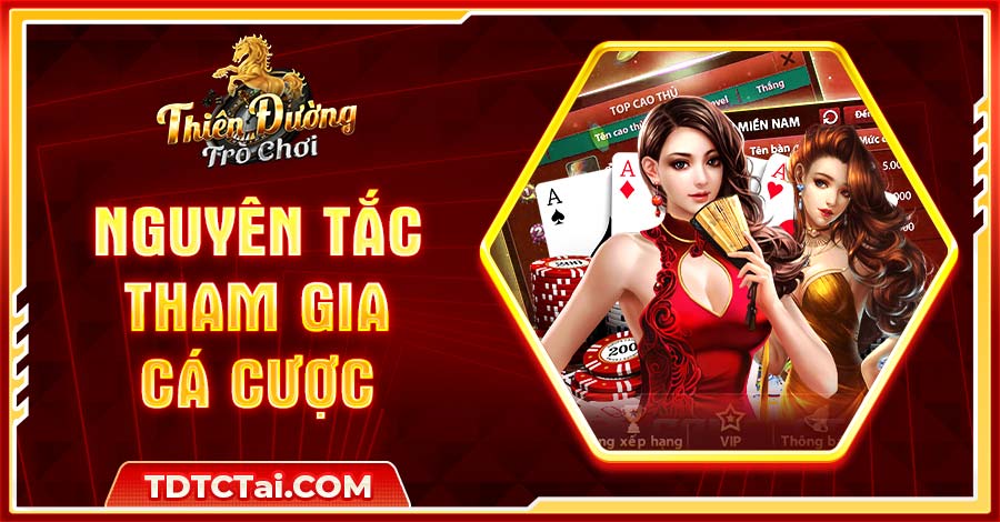 Nguyên tắc liên quan đến quy trình tham gia cá cược tại TDTC